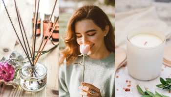 Perfume and scents that can induce sexual desire relieve stress keep away anxiety and keep your mood happy