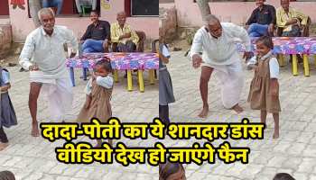 Viral Video You will become a fan after watching this wonderful dance video of grandfather and granddaughter