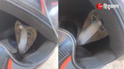 King Cobra The ferocious snake silently entered inside helmet soul will tremble after watching the viral video