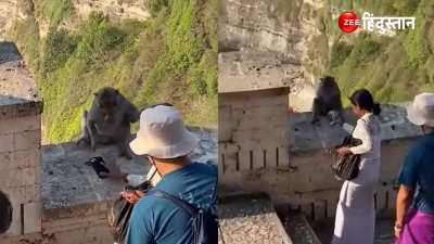 Viral Video Monkey snatches phone of a tourist who came to visit bribes him to return it