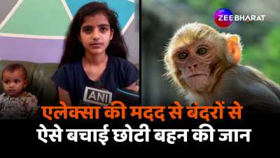 13 year nikita give command to alexa for bark like dog and save her little sister from monkey 