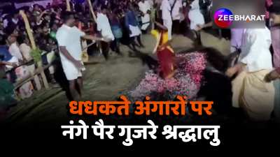 Tamil Nadu Tarangambadi Thimithi festival Devotees walk fire embers Video viral