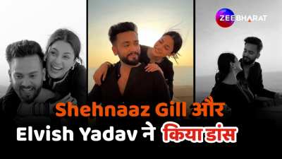 Elvish Yadav Shehnaz Gill dance video viral