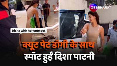 actress disha patani spotted with her pet dog video went viral  