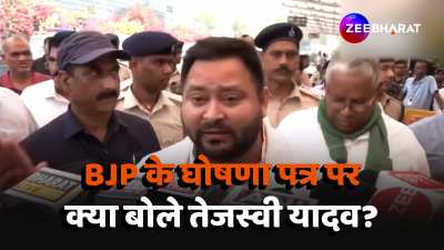 rjd politician Tejashwi Yadav reaction On BJP Manifesto