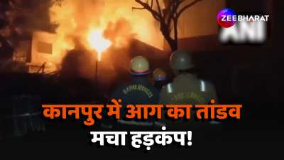 UP News fire broke out in a wooden warehouse in Kanpur