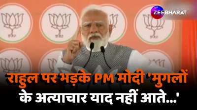Lok sabha Election 2024 PM Narendra Modi angry at Rahul Gandhi