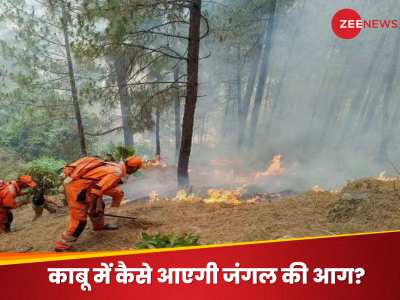 Uttarakhand Forest Fire: क्यों नहीं थम पा रही उत्तराखंड के जंगलों की आग? क्या है वजह