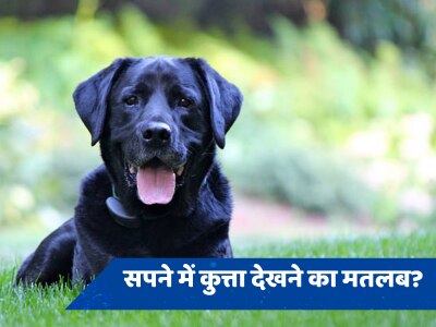 Swapna shastra: क्या होता है सपने में काले रंग के कुत्ते को देखने का मतलब, जानें किस बात का देता है संकेत?  