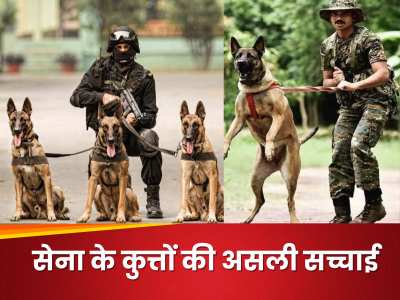 Army Dogs: सेना में कुत्तों का क्या होता है काम, मिलती है कितनी सैलरी? रिटायरमेंट के बाद उनका क्या होता है