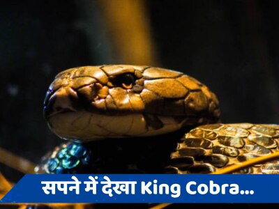 Swapna Shastra: सपने में किंग कोबरा दिखना क्या होता है अशुभ, जानें क्या कहता है स्वप्न शास्त्र 