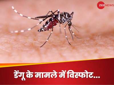 Dengue: इस साल दुनिया भर में डेंगू के मामले क्यों बढ़े हैं, भारत में कैसी है हालत? क्या कहते हैं आंकड़े