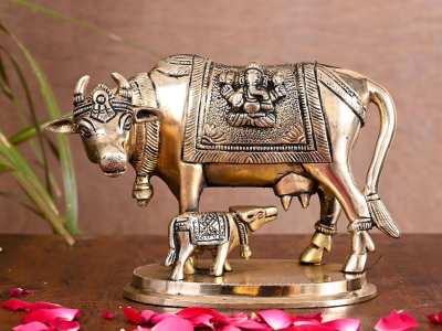 Astrology benefits of kamdhenu cow in right direction to get money and happiness