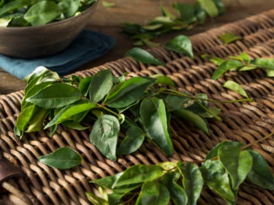 Health tips benefits of curry leaves for healthy body heart and immunity 