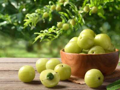 can we eat amla with salt indian gooseberry benefits amla khane ke fayde