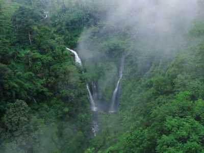 which indian state has most forest cover 2025