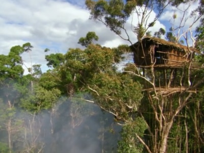 Indonesia mysterious korowai tribe they live on tree house 55000 years isolation gumnam janjati