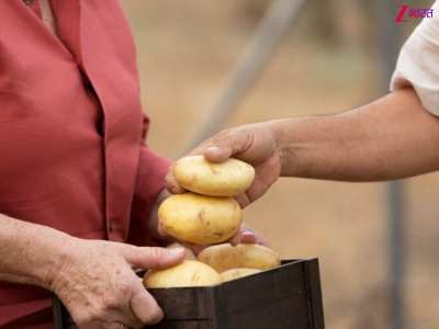 top indian states with highest potato Production in 2025
