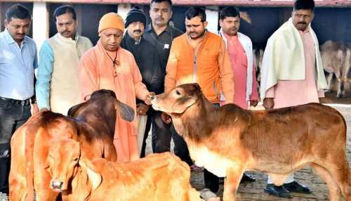 गोपाष्टमी पर जानिए 'गोभक्त योगी' की फायदेमंद स्कीम, गायों की सेवा की तो मिलेगा 'डबल फायदा' गोपाष्टमी पर जानिए 'गोभक्त योगी' की फायदेमंद स्कीम, गायों की सेवा की तो मिलेगा 'डबल फायदा'