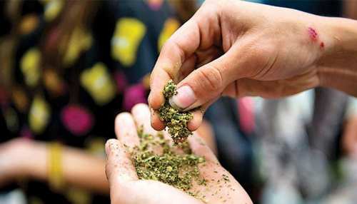 Jammu Kashmir में Drug तस्करों पर बड़ी कार्रवाई, आरोपियों के 5 बैंक खाते सील किए गए Jammu Kashmir में Drug तस्करों पर बड़ी कार्रवाई, आरोपियों के 5 बैंक खाते सील किए गए