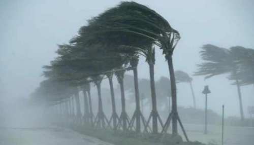 Bihar Weather Update: तेज रफ्तार से उत्तरी-पश्चिमी हवा का रहेगा असर, तापमान में नहीं होगी अधिक वृद्धि Bihar Weather Update: तेज रफ्तार से उत्तरी-पश्चिमी हवा का रहेगा असर, तापमान में नहीं होगी अधिक वृद्धि