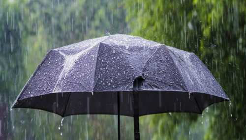 Bihar Weather Update: होलिका दहन के दिन मिलेगी गर्मी से राहत, 2 दिन हो सकती है बूंदाबांदी Bihar Weather Update: होलिका दहन के दिन मिलेगी गर्मी से राहत, 2 दिन हो सकती है बूंदाबांदी