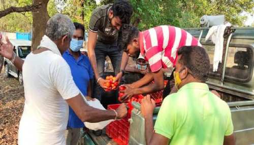 यहां कोरोना टीका लगवाने के साथ फ्री मिल रहे दो किलो टमाटर यहां कोरोना टीका लगवाने के साथ फ्री मिल रहे दो किलो टमाटर