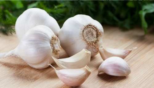 Rajasthan में Black Fungus के 2000 से अधिक केस, इलाज में Garlic का ऐसे करें इस्तेमाल Rajasthan में Black Fungus के 2000 से अधिक केस, इलाज में Garlic का ऐसे करें इस्तेमाल