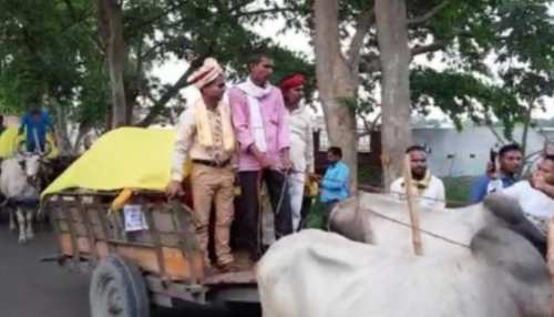 ये कैसी अनोखी शादी, दूल्हे ने बैलगाड़ी पर निकाली बारात ये कैसी अनोखी शादी, दूल्हे ने बैलगाड़ी पर निकाली बारात