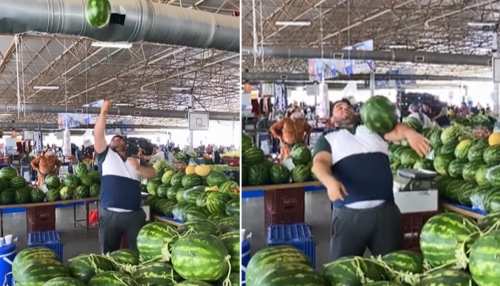 ये शख्स फुटबॉल की तरह तरबूज को हवा में उछालता, Video इंटरनेट पर हुआ वायरल ये शख्स फुटबॉल की तरह तरबूज को हवा में उछालता, Video इंटरनेट पर हुआ वायरल