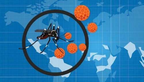 Zika virus के मामले सामने आने के बाद अलर्ट, कर्नाटक सरकार ने भी जारी की गाइडलाइन Zika virus के मामले सामने आने के बाद अलर्ट, कर्नाटक सरकार ने भी जारी की गाइडलाइन