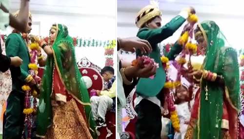 जयमाला में दूल्हा-दुल्हन का बच्चे बना रहे मजाक, लोग बोले- लंगूर के हाथ में अंगूर; देखें Video जयमाला में दूल्हा-दुल्हन का बच्चे बना रहे मजाक, लोग बोले- लंगूर के हाथ में अंगूर; देखें Video