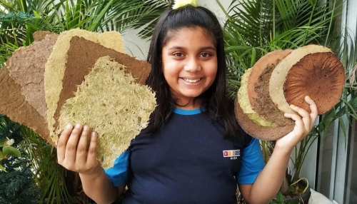 10 साल की बच्ची का कारनामा: प्याज, लहसुन, टमाटर के छिलके से बना डाला इको-फ्रेंडली पेपर 10 साल की बच्ची का कारनामा: प्याज, लहसुन, टमाटर के छिलके से बना डाला इको-फ्रेंडली पेपर