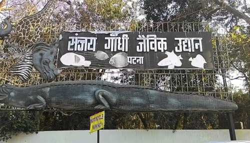 कोरोना के बाद आम जिंदगी की तरफ बढ़े लोग, सार्वजनिक स्थलों पर बढ़ी रौनक कोरोना के बाद आम जिंदगी की तरफ बढ़े लोग, सार्वजनिक स्थलों पर बढ़ी रौनक