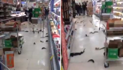 अचानक नदी में तब्दील हुआ Supermarket, तैरती मछलियों को लूटते दिखे लोग, Video ने मचाया हड़कंप अचानक नदी में तब्दील हुआ Supermarket, तैरती मछलियों को लूटते दिखे लोग, Video ने मचाया हड़कंप