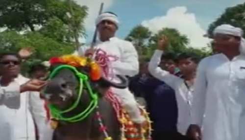 Video: नामांकन के लिए जिस भैंस पर बैठ पहुंचे प्रत्याशी, उसी ने सड़क पर दी पटखनी Video: नामांकन के लिए जिस भैंस पर बैठ पहुंचे प्रत्याशी, उसी ने सड़क पर दी पटखनी