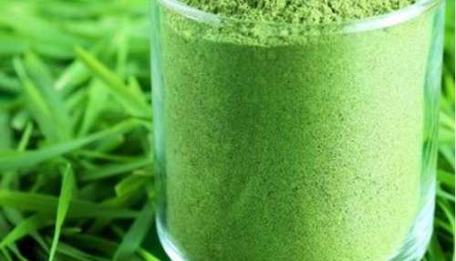 Wheatgrass powder hotsell in hindi