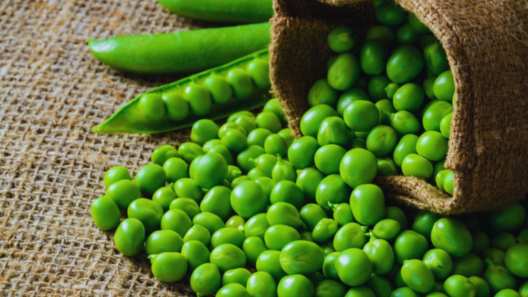 eating green peas in large amount can cause these diseases hari matar khane ke nuksan