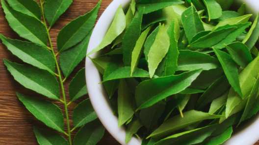 know about these 5 amazing health benefits of curry leaves kadi patte ke fayde