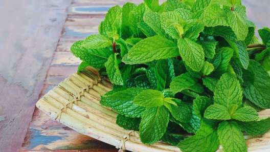 know about these amazing health benefits of mint leaves pudine ke patton ke fayde