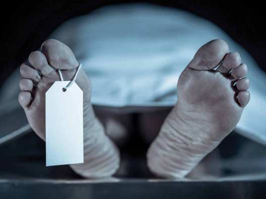 मतदान के दौरान हादसा! कर्नाटक में चुनाव ड्यूटी पर तैनात दो कर्मचारियों की मौत! यह है वजह मतदान के दौरान हादसा! कर्नाटक में चुनाव ड्यूटी पर तैनात दो कर्मचारियों की मौत! यह है वजह