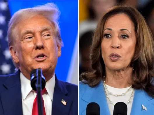 Donald Trump net worth comparison with kamala harris total property money 