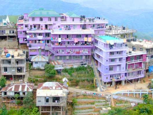 world largest family lives in india mizoram state duniya ka sabse bada pariwar bharat me