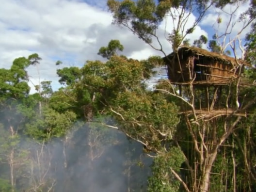 Indonesia mysterious korowai tribe they live on tree house 55000 years isolation gumnam janjati