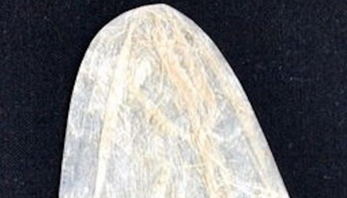 200-year-old condom auction Rs 46000 in spain | अजब गजब : 46000 रुपए में  नीलाम हुआ कंडोम! | Hindi News, दुनिया