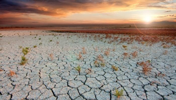 'इस साल भारी गर्मी झेलने के लिए तैयार रहें', जनवरी का महीना 116 साल में सबसे ज्यादा गर्म रहा 'इस साल भारी गर्मी झेलने के लिए तैयार रहें', जनवरी का महीना 116 साल में सबसे ज्यादा गर्म रहा