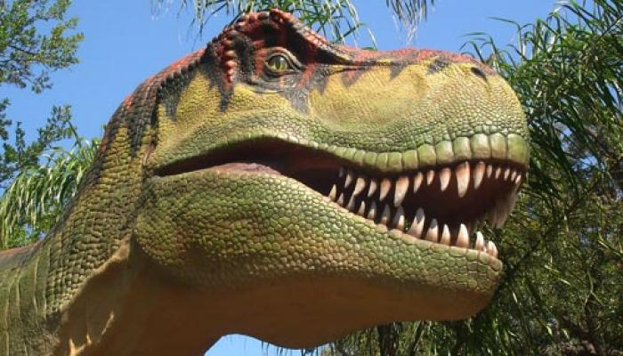 भारत में 19 करोड़ साल पहले थे 20 तरह के डायनासोर भारत में 19 करोड़ साल पहले थे 20 तरह के डायनासोर