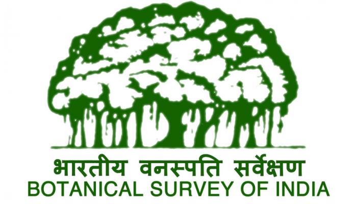वनस्पति वैज्ञानिकों ने खोजी पौधे की नई प्रजाति, अब्दुल कलाम के नाम पर किया नामकरण वनस्पति वैज्ञानिकों ने खोजी पौधे की नई प्रजाति, अब्दुल कलाम के नाम पर किया नामकरण
