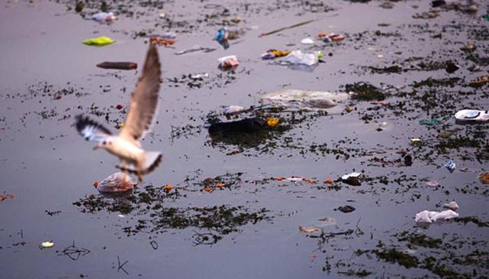 चीन की गंदी चाल! काला हुआ अरुणाचल की इस नदी का पानी चीन की गंदी चाल! काला हुआ अरुणाचल की इस नदी का पानी