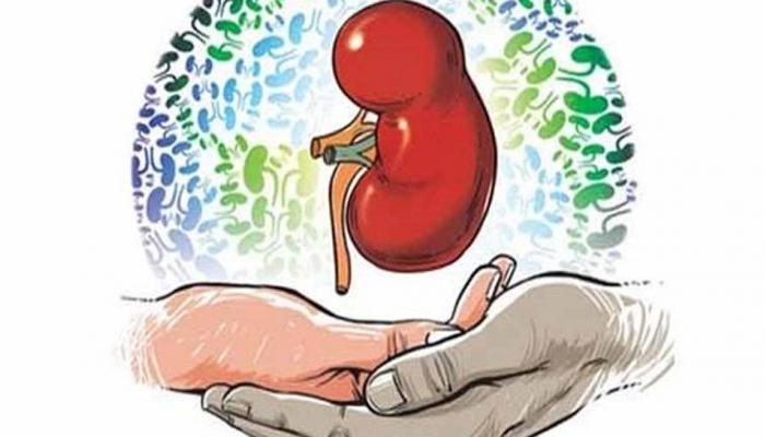 महिला दिवस 2018: फरीदाबाद में किडनी देकर 62 साल की सास ने बहू को दी नई जिंदगी महिला दिवस 2018: फरीदाबाद में किडनी देकर 62 साल की सास ने बहू को दी नई जिंदगी